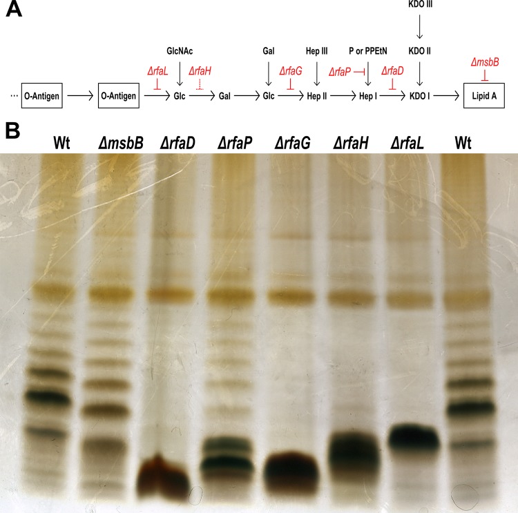 FIG 1 