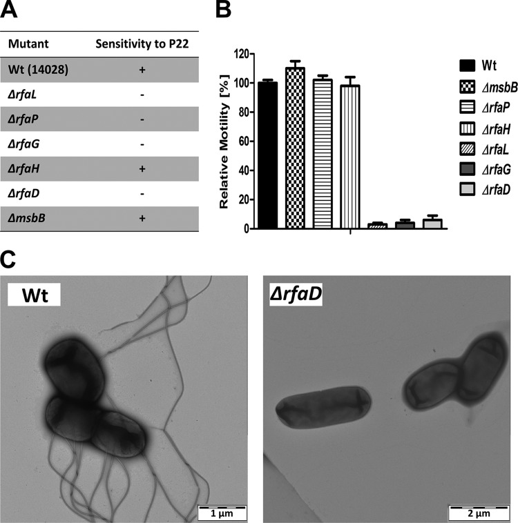 FIG 2 