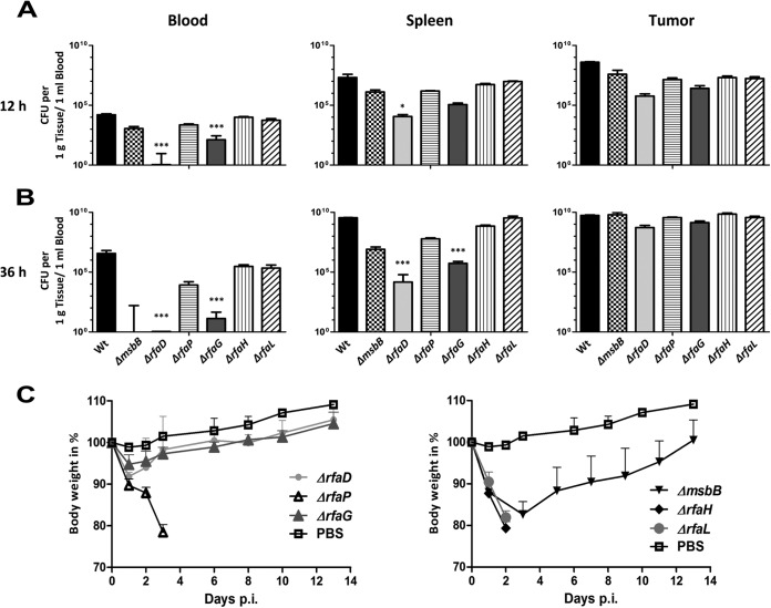 FIG 3 