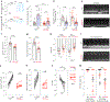 Fig. 5 |