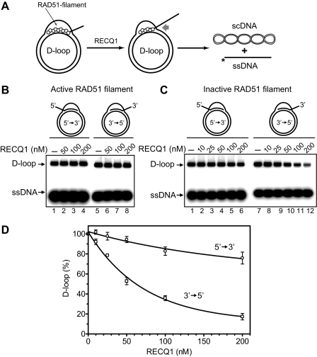 FIGURE 10.