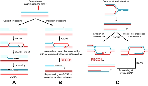 FIGURE 11.