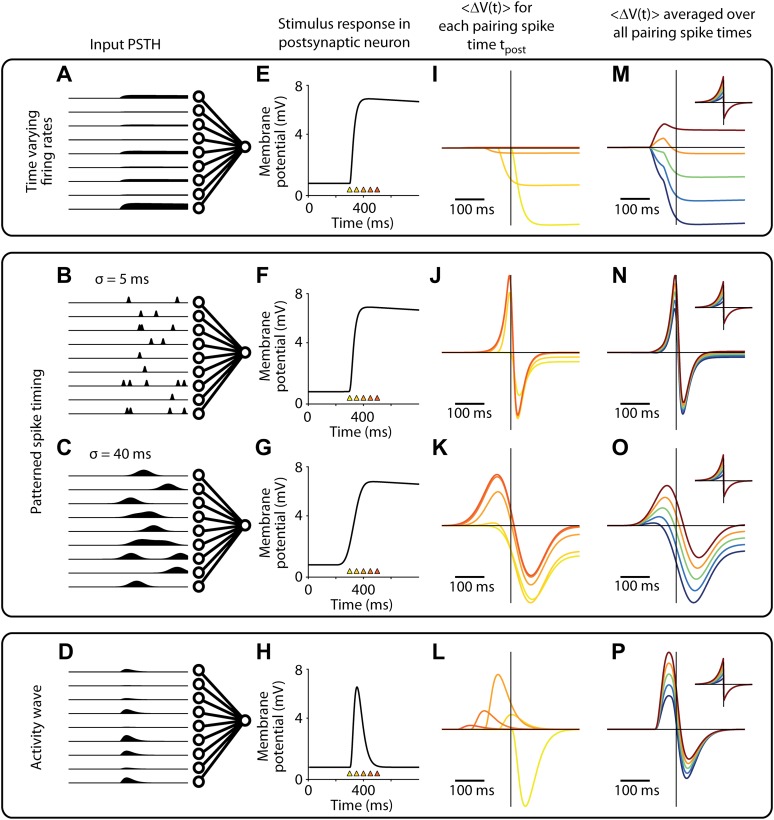 Figure 5—figure supplement 3.