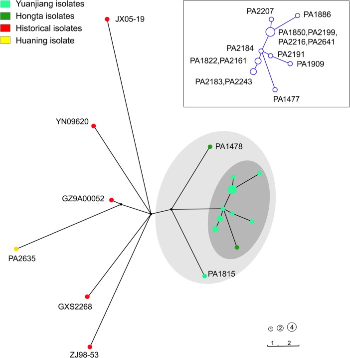 Fig 4