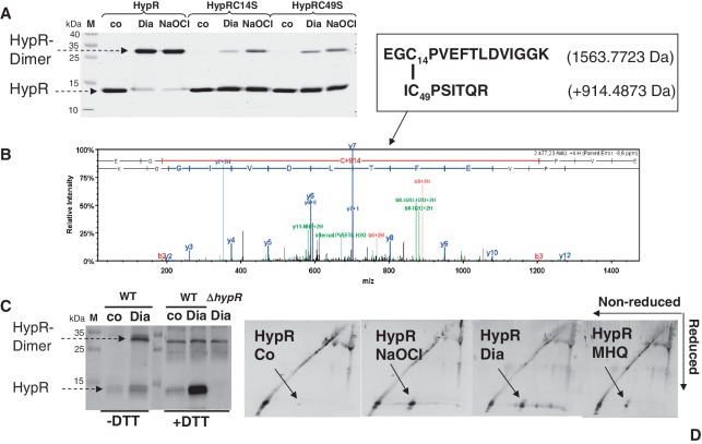 Figure 6.