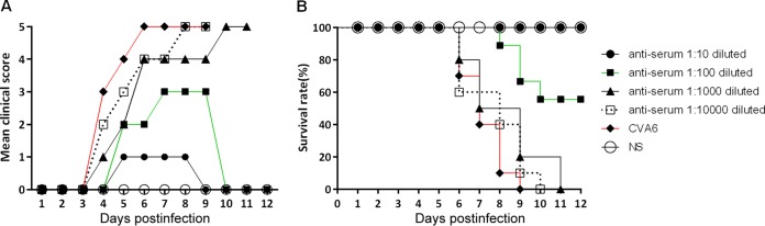 FIG 6