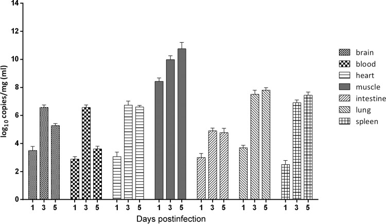 FIG 3