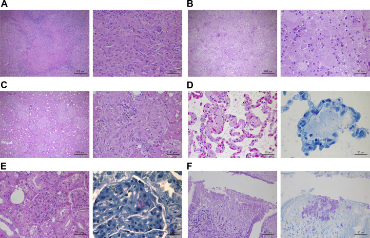 Fig. 2