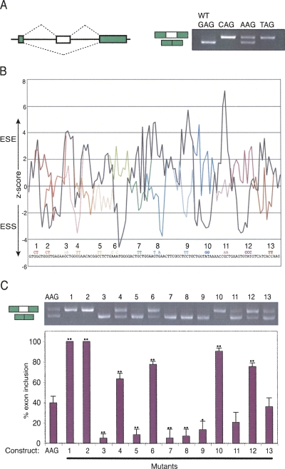 FIGURE 2.