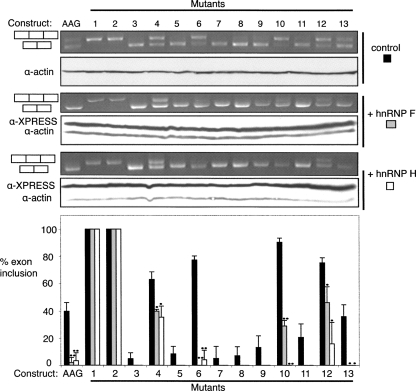 FIGURE 4.