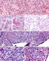 Fig. 7