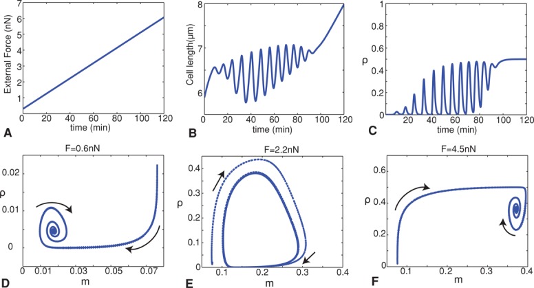 FIGURE 2: