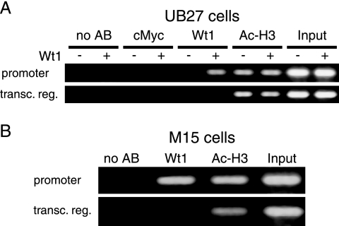 FIG. 7.