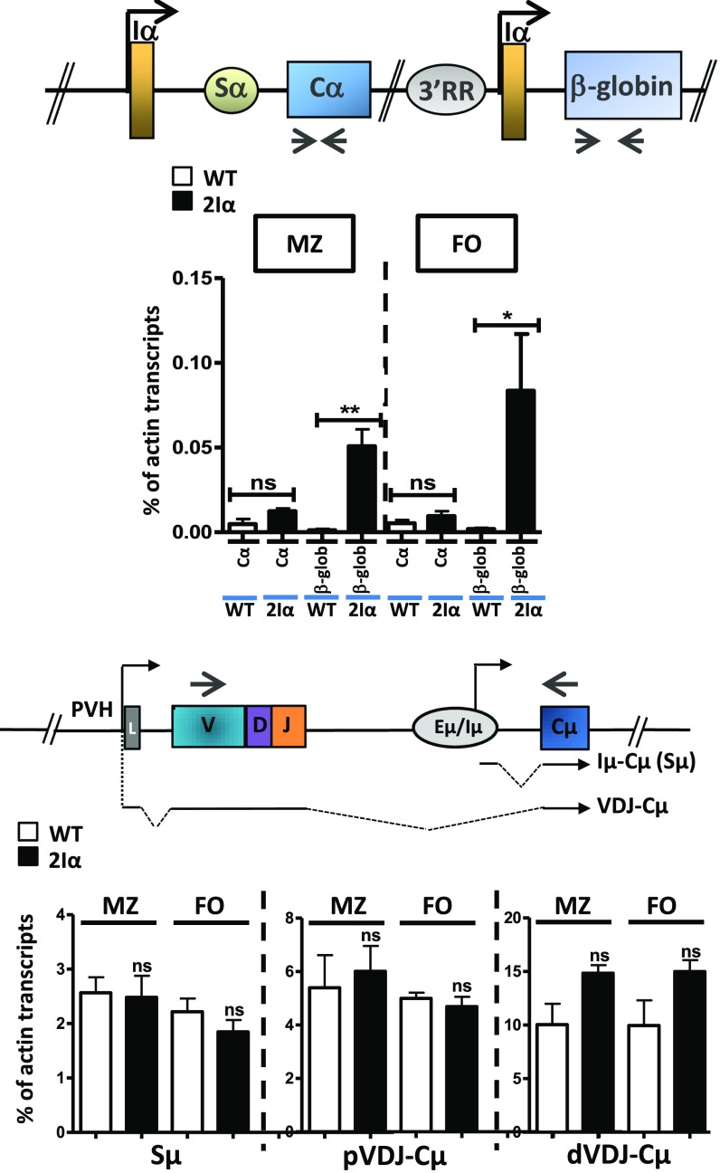 Fig. S7.