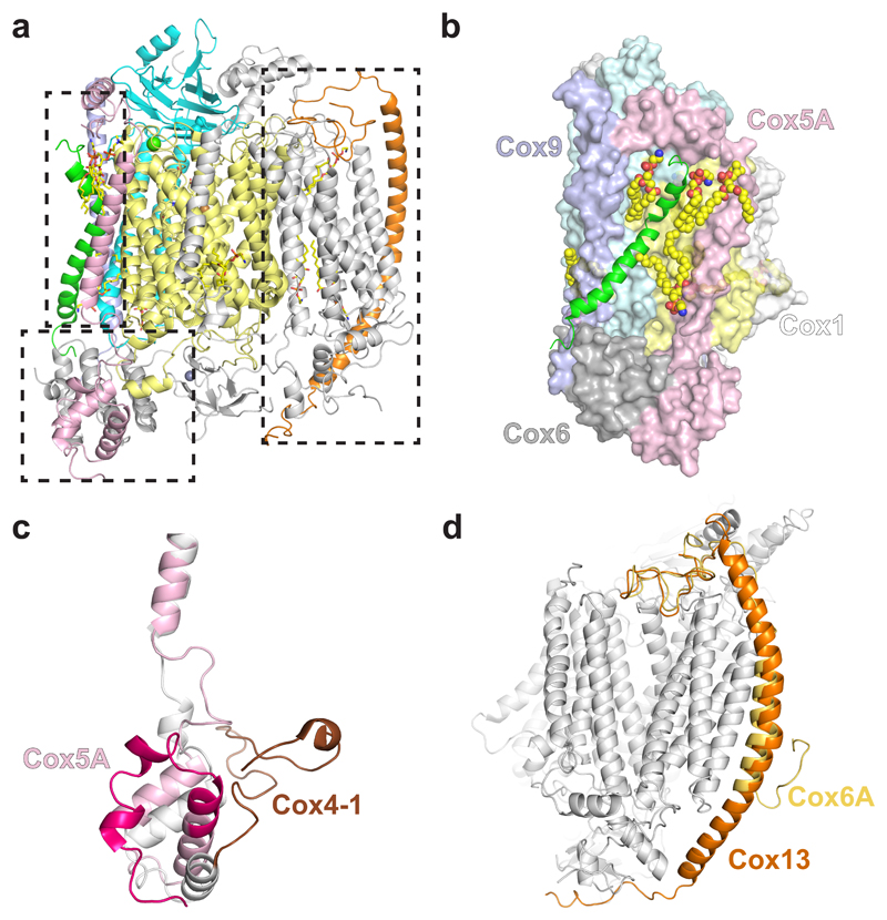 Fig. 2