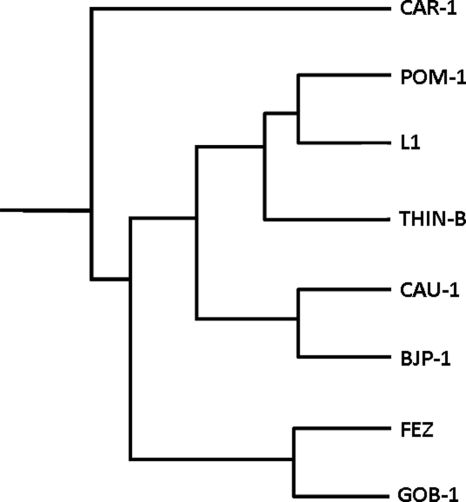 FIG. 1.