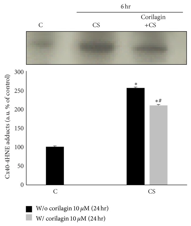 Figure 10