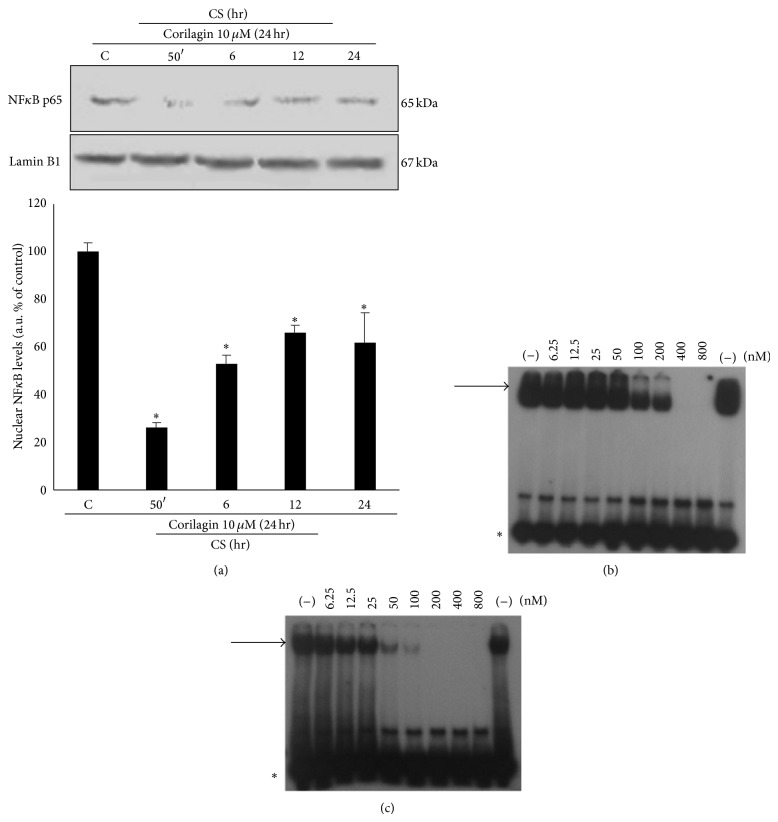 Figure 11