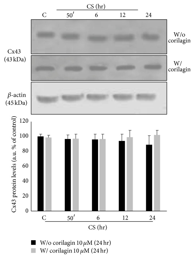 Figure 9