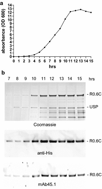 Fig. 2