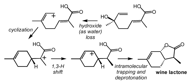 Scheme 5