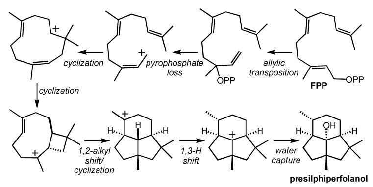 Scheme 3