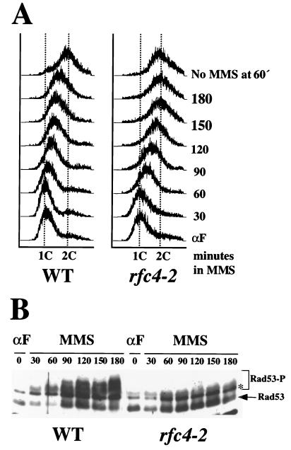 FIG. 5