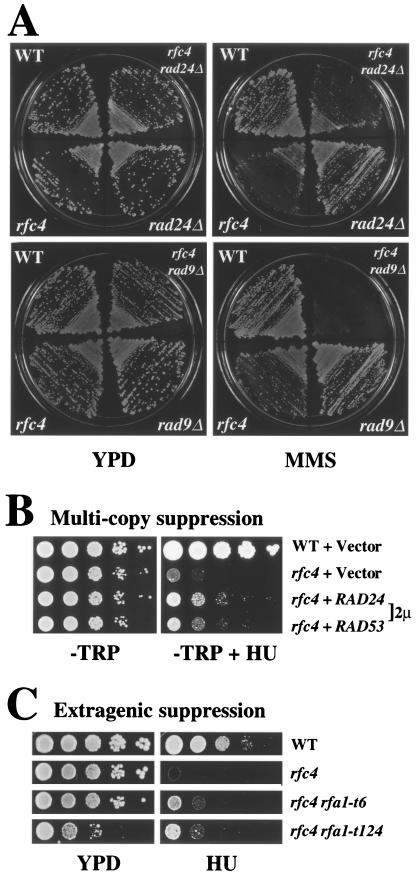 FIG. 7