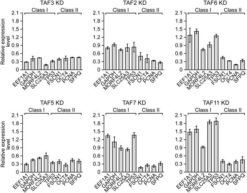 Figure 5—figure supplement 2.