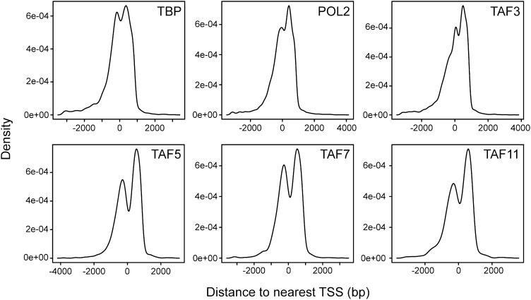 Figure 6—figure supplement 1.