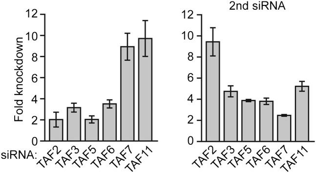 Figure 5—figure supplement 1.