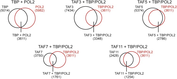 Figure 6—figure supplement 3.