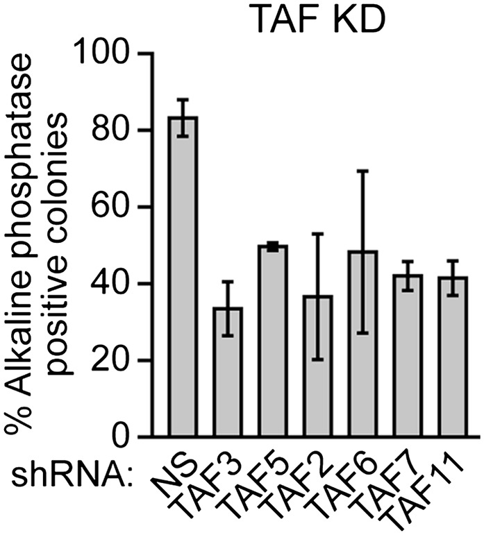 Figure 8—figure supplement 2.