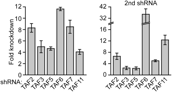 Figure 8—figure supplement 1.