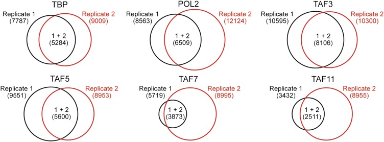 Figure 6—figure supplement 2.