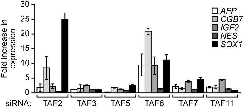 Figure 8—figure supplement 3.