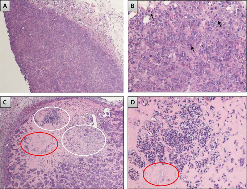 Fig. 8.