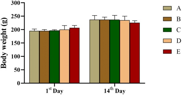 Fig. 6