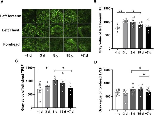 FIGURE 3