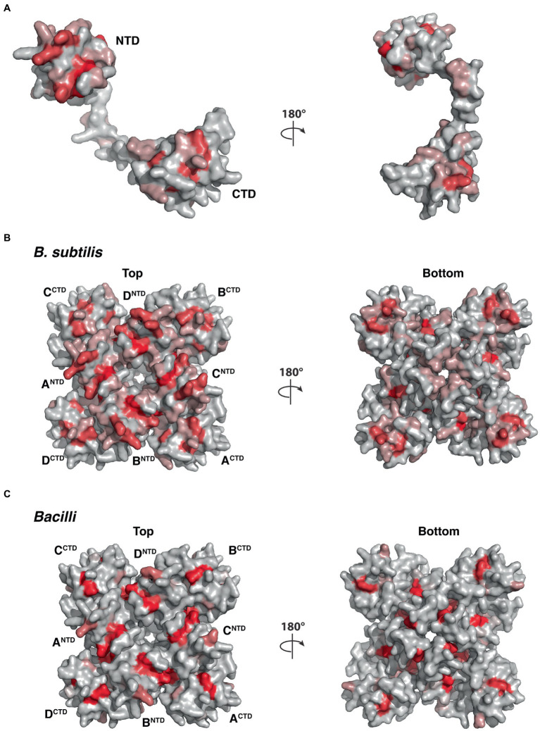 Figure 10