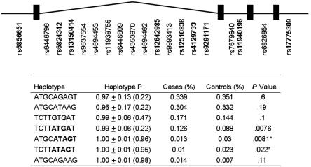 Figure  2. 