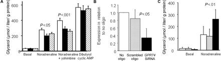 Figure  6. 