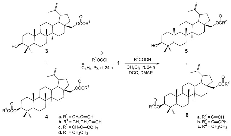 Scheme 1