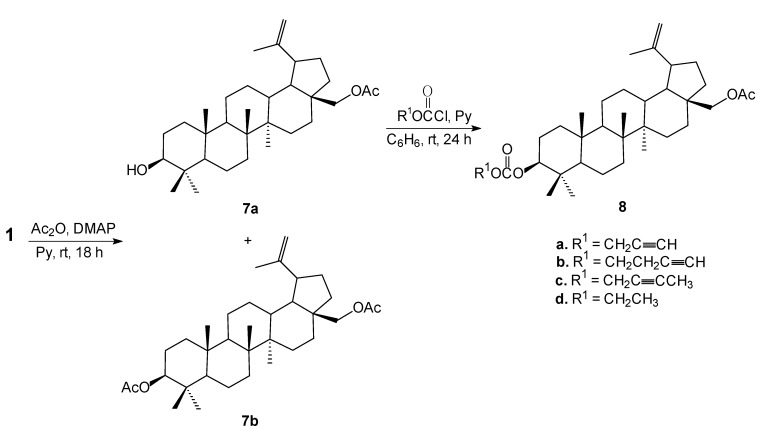 Scheme 2