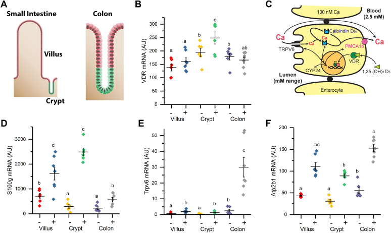 Figure 1