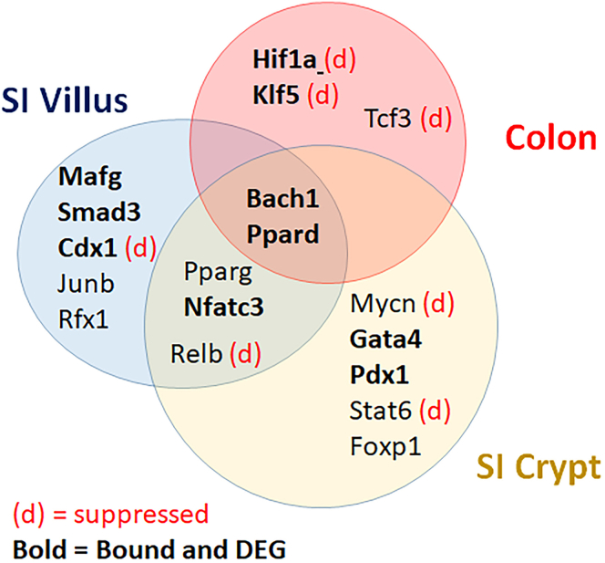 Figure 4