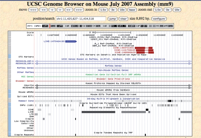 Figure 2.