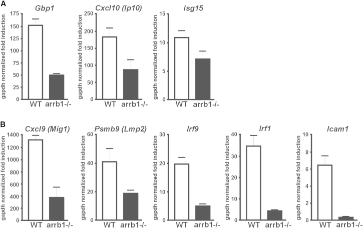 Figure 3