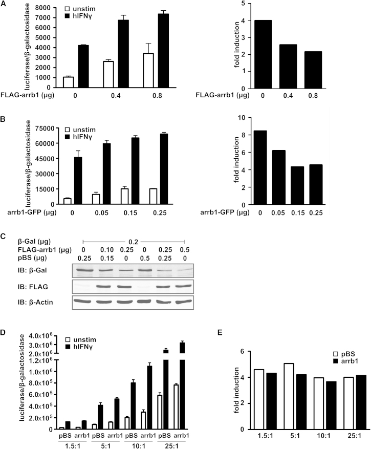 Figure 1