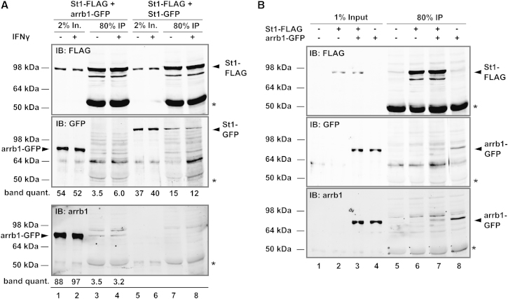 Figure 4